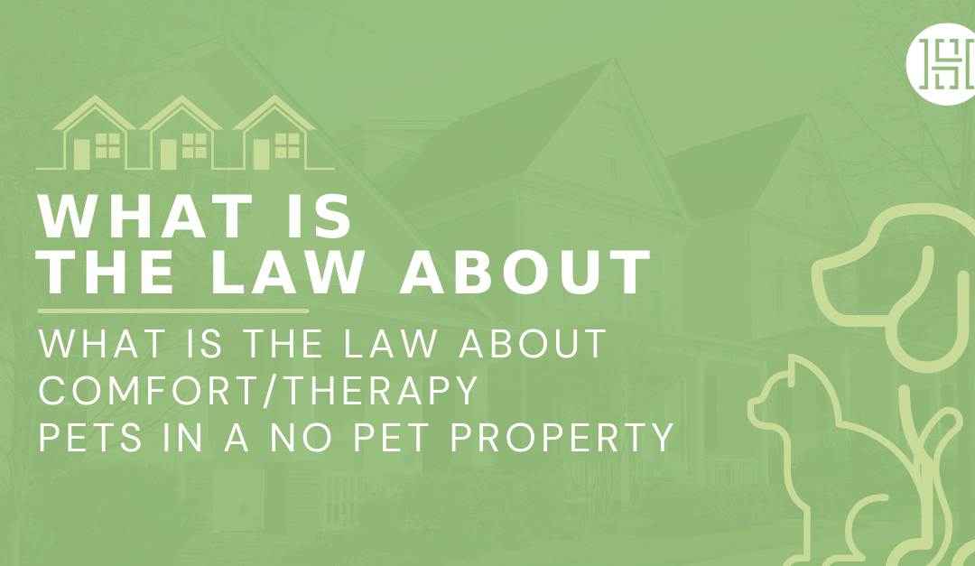 What is the Law About Comfort/Therapy Pets in a No Pet Property